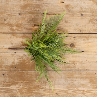 16" MIXED FERN BUSH