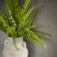 22" LACEY FERN BUSH