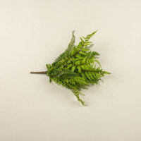 22" LACEY FERN BUSH