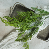 38" LACEY FERN SPRAY