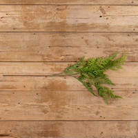 38" LACEY FERN SPRAY