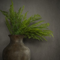 38" LACEY FERN SPRAY