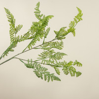 38" LACEY FERN SPRAY
