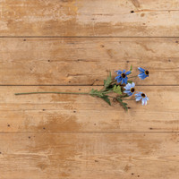 25.5" BLUE BLACK-EYED SUSAN SPRAY