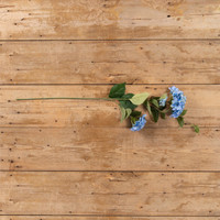 37" BLUE HYDRANGEA SPRAY