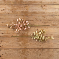33" PALE GREEN EUCALYPTUS SPRAY