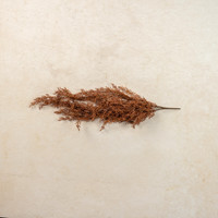 30" RUST BERRY HANGING BUSH