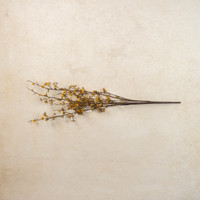 36" YELLOW SEEDED WAX FLOWER SPRAY