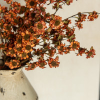 22" RUST MINI DAISY BUSH