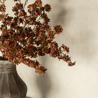 22" MAROON MINI DAISY BUSH
