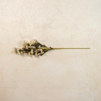 30" BEIGE & CREAM WILD FLOWER SPRAY