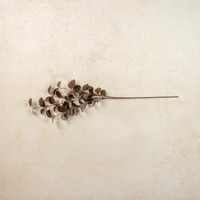 34.5" BROWN EUCALYPTUS LEAF SPRAY