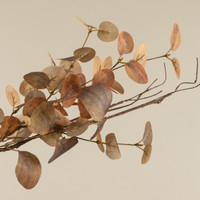 19.5" ORANGE EUCALYPTUS & TWIG PICK