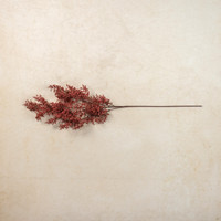 41" MAROON CASPIA SPRAY