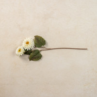 26" WHITE MUM SPRAY