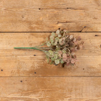 14.5" RUST POPLAR LEAF BUSH