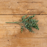 14" EUCALYPTUS LEAF SPRAY