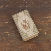 7" THE BEGINNER'S GUIDE TO DEER SPECIES JOURNAL