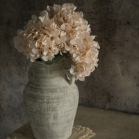22" CREAM HYDRANGEA SPRAY