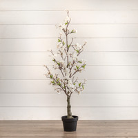 4' CHERRY BLOSSOM TREE