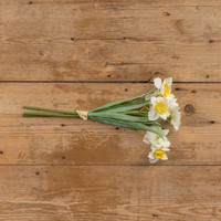 16.25" WHITE & YELLOW DAFFODIL  BUNDLE