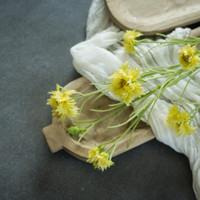 35.5" YELLOW DAISY SPRAY