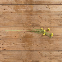 35.5" YELLOW DAISY SPRAY