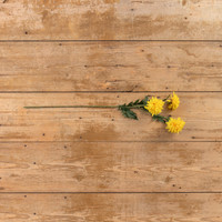 29" YELLOW GERBERA SPRAY