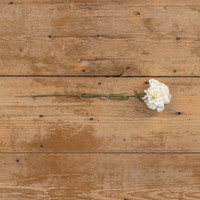 17" WHITE CARNATION SPRAY