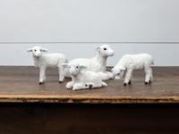5.25" RESTING LAMB