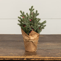 12" ICY PINE & BERRIES IN POT