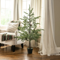 48" COPLEY PINE TREE IN POT