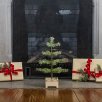 18" GREEN FEATHER TREE