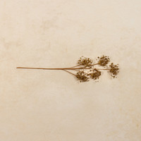 GOLD BEADED PICK