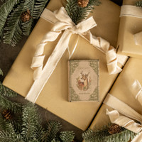 THE BEGINNER'S GUIDE TO DEER SPECIES JOURNAL ORNAMENT