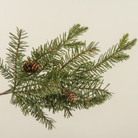 19" DOUGLAS FIR SPRAY W/ PINECONES