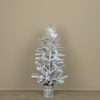 3' SNOWY HEMLOCK TREE
