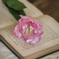 22.5" SOFT TOUCH PINK PARROT TULIP STEM