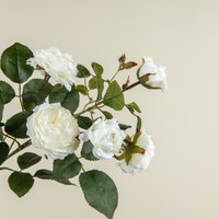26" CREAM CABBAGE ROSE SPRAY