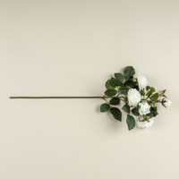 26" CREAM CABBAGE ROSE SPRAY