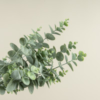 32" EUCALYPTUS BUNDLE