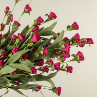 22.5" DARK PINK PAPER WILDFLOWER BUSH