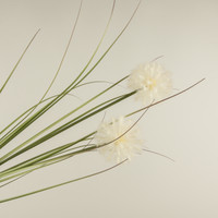 47" CREAM DANDELION SPRAY