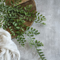 31" DUSTY RUSCUS LEAF HANGING VINE