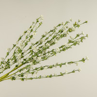 31" WHITE MINI BERRY SPRAY