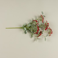 20" RED YARROW BUSH