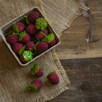 CARTON OF RASPBERRIES