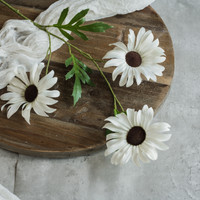 33" CREAM DAISY SPRAY