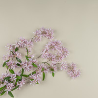 34" PINK SANDPAPER VINE HANGING BUSH