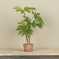 20" POTTED PAPER PLANT